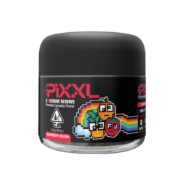 PiXXL Exclusive – Rainbow Kush