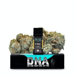 Plug Play DNA THC Vape Pods – 1g